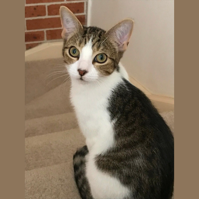Photo of Jasper