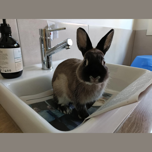 Photo of Dobbie & Alex