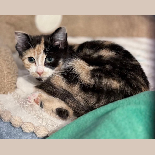 Photo of Wynter 🌺