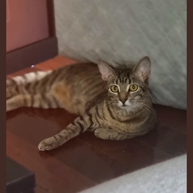 Photo of Nora