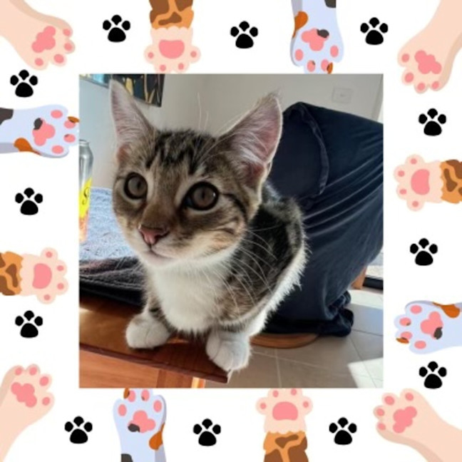 Photo of Gert