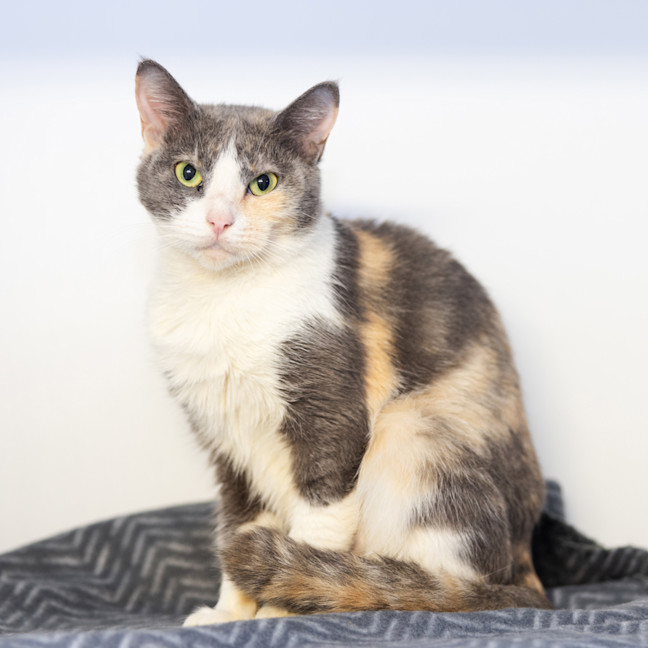 Photo of Pretty Lady