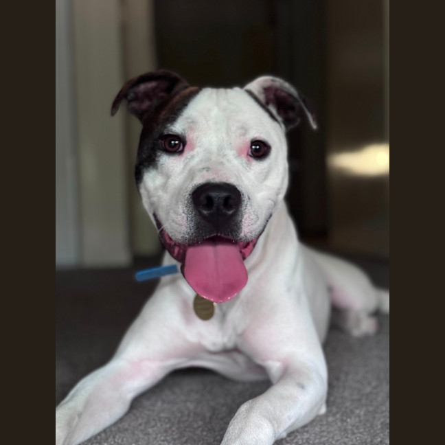 Photo of Frank Costanza