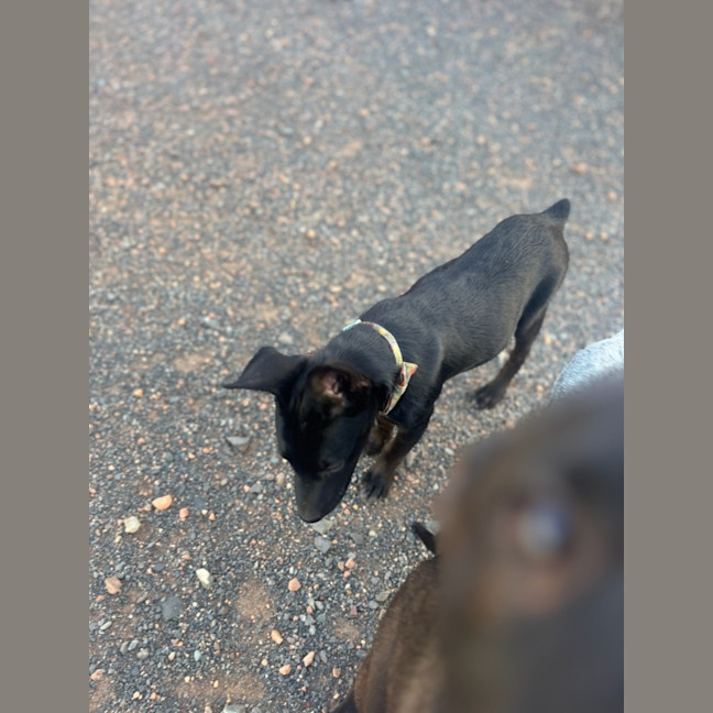 Photo of Felice (Astrid)