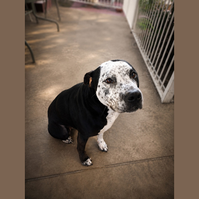 Photo of Zeus