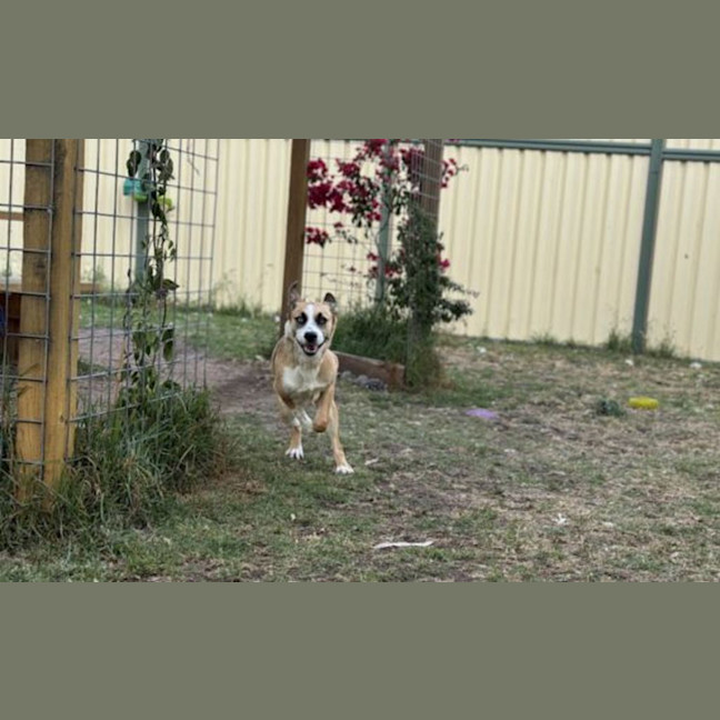 Photo of Roo