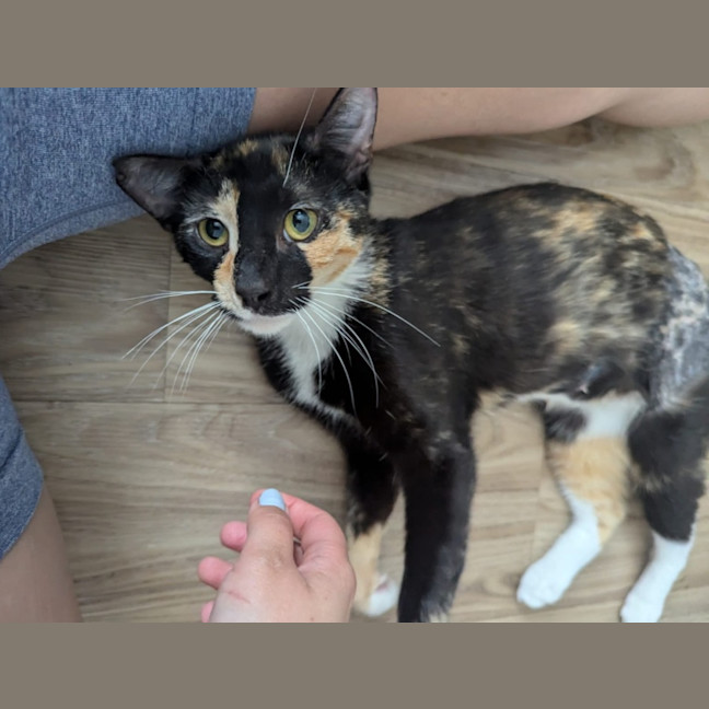 Photo of Trudy