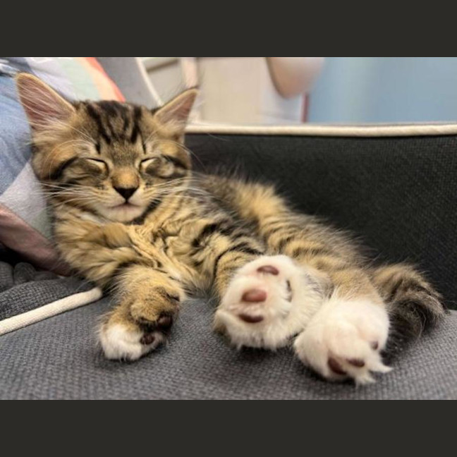 Photo of Steve