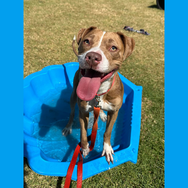 Photo of Ruby 