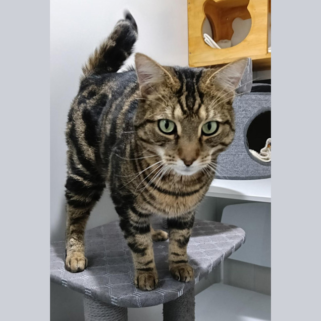 Photo of Tom
