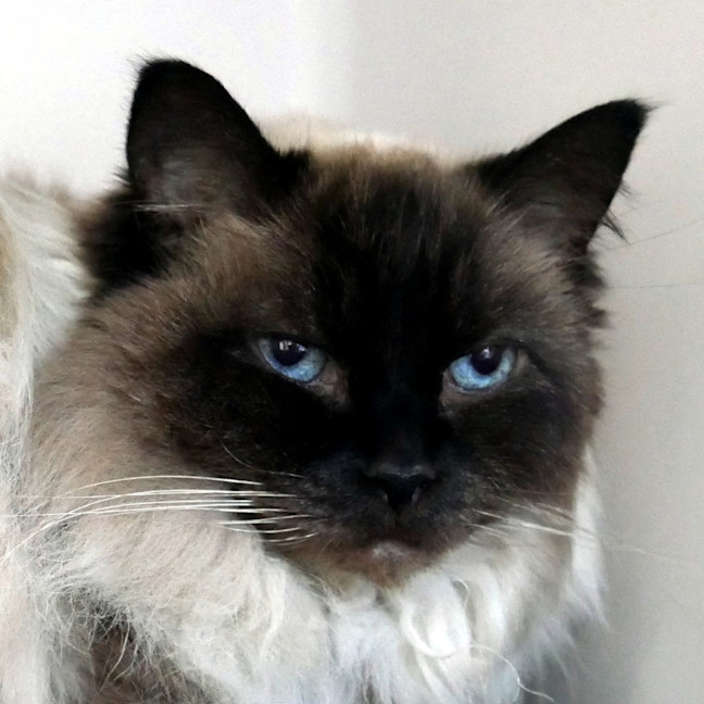 Photo of Pearl Sua014048