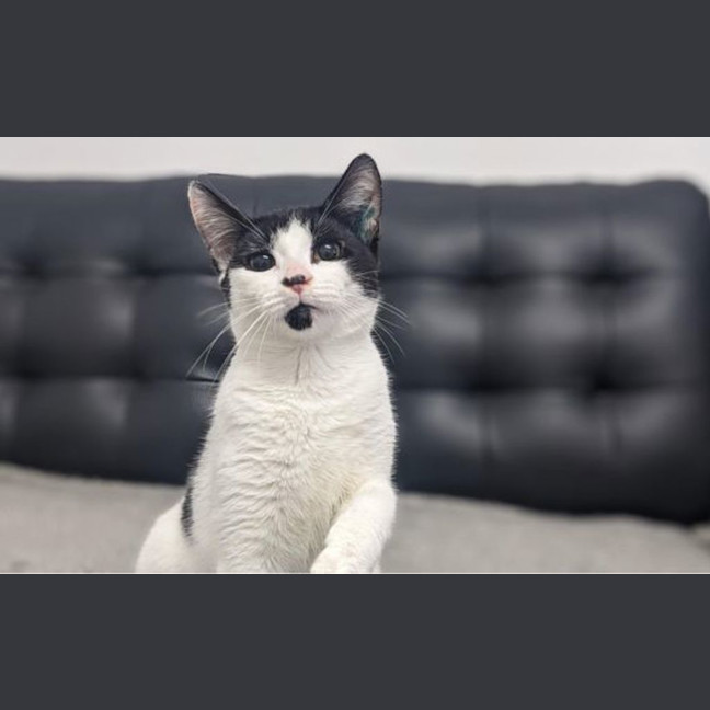 Photo of Bonnie 