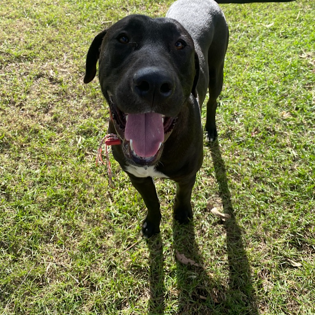 Photo of Doofy