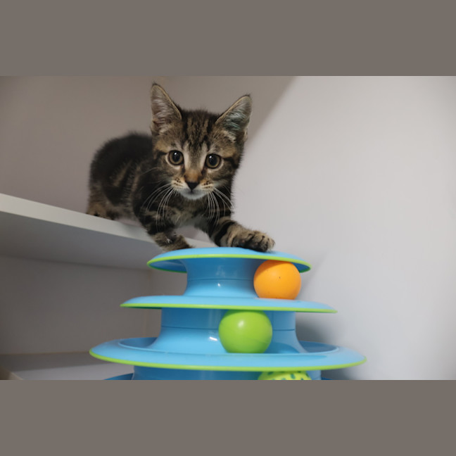 Photo of Bubble
