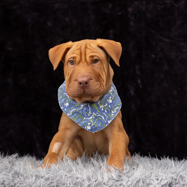 Photo of Jedi