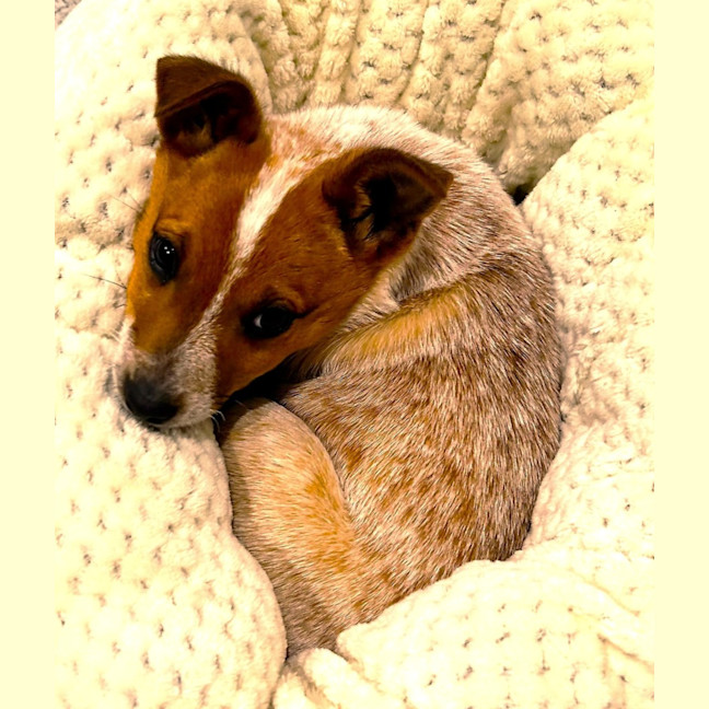 Photo of Hotzinger