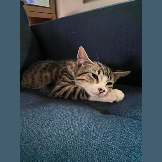 Photo of Truffle