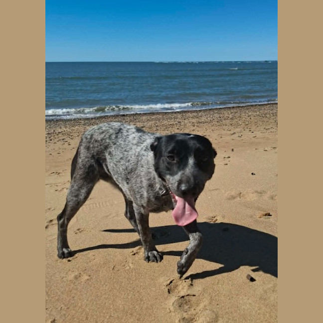 Photo of Tilly