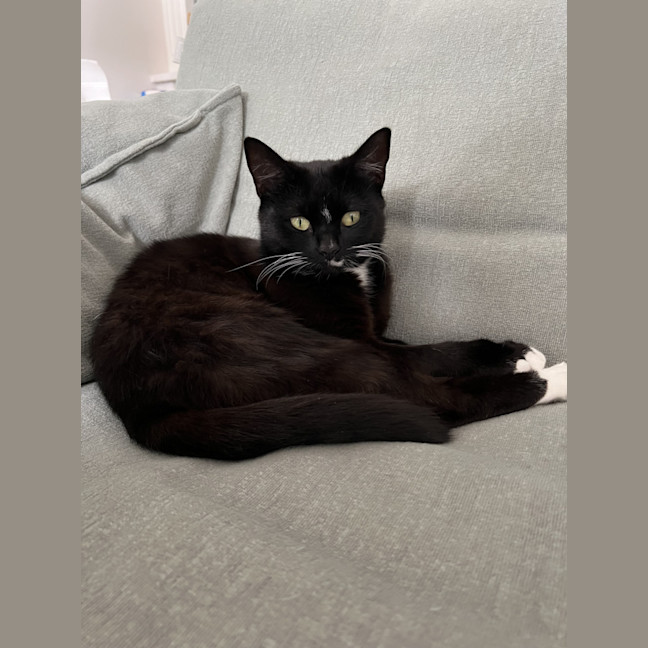 Photo of Betty