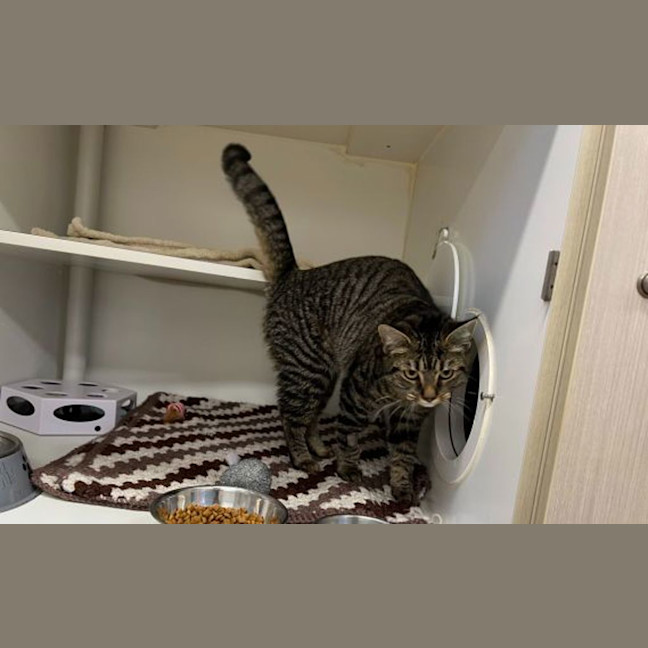 Photo of Junebug