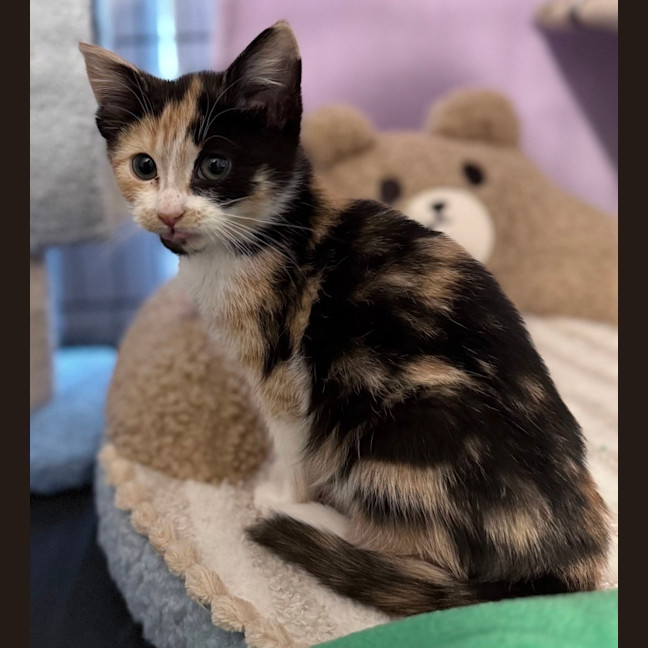 Photo of Wynter 🌺