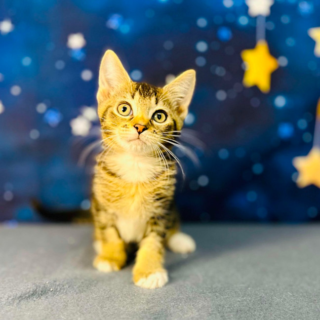 Photo of Bob   Located In Preston 