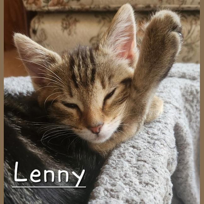 Photo of Lenny
