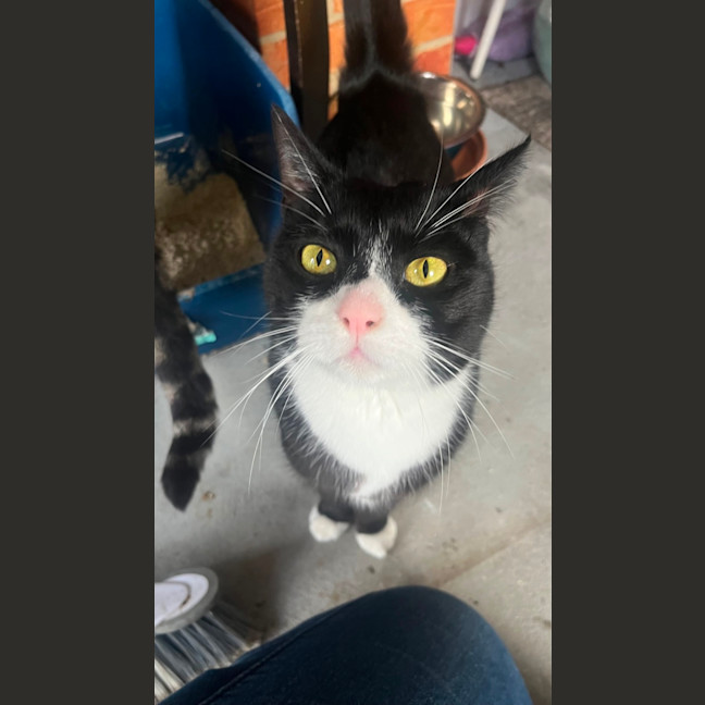 Photo of Thomas