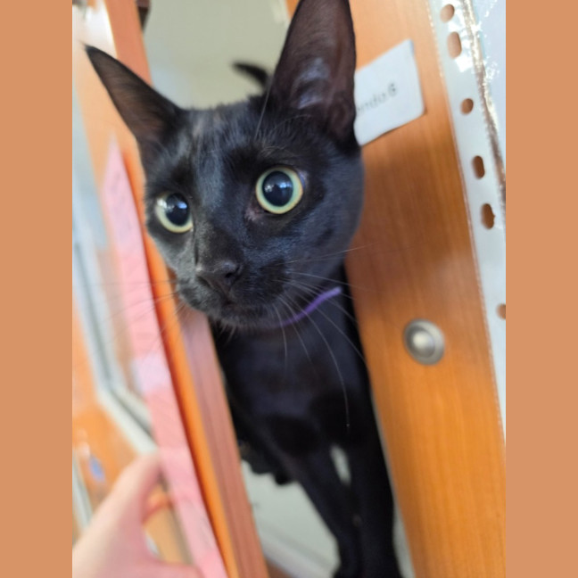 Photo of Maizie