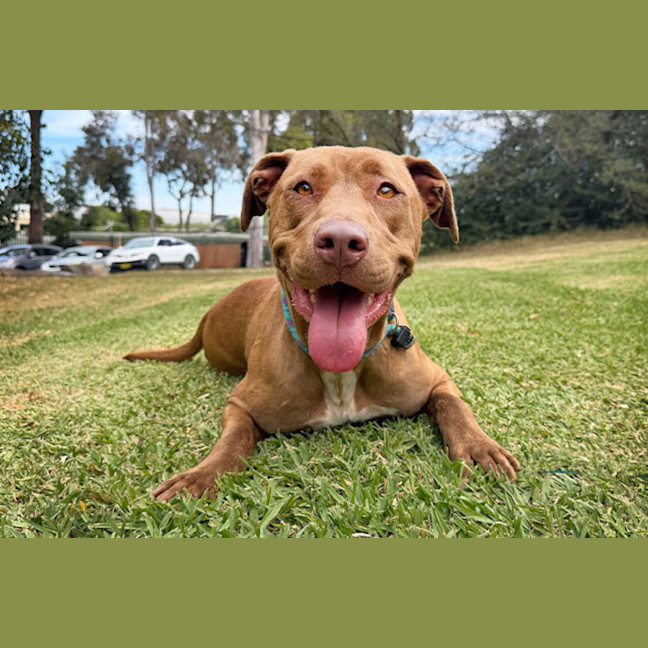 Photo of Missy