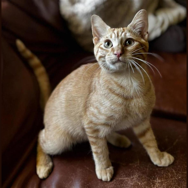 Photo of Roi