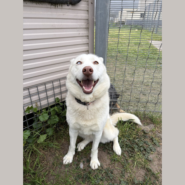 Photo of Diamond