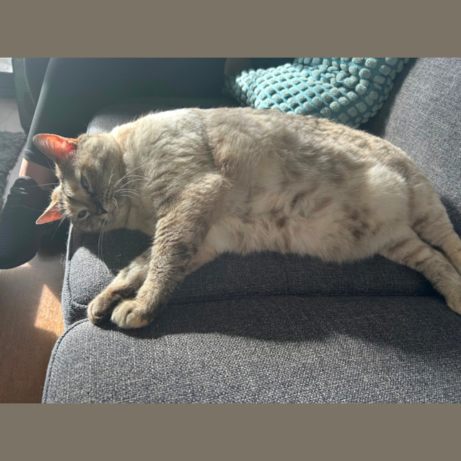 Photo of Matilda ( Tilly ) 