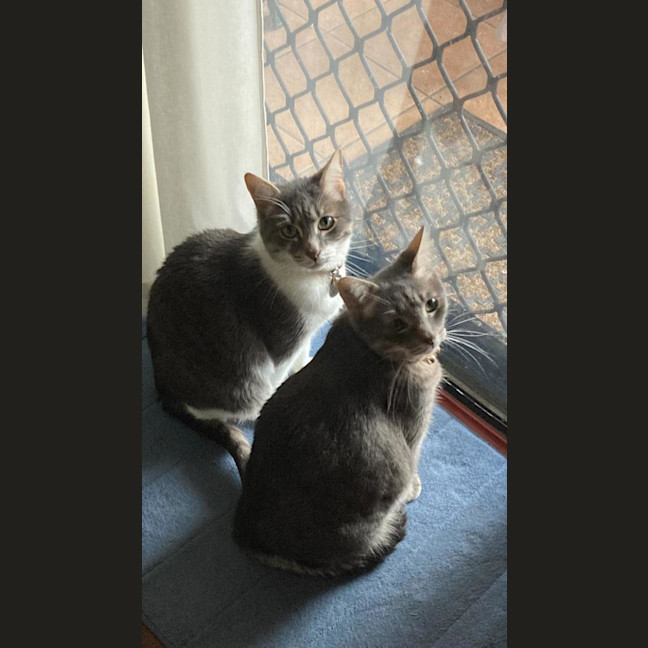 Photo of Maya & Louie