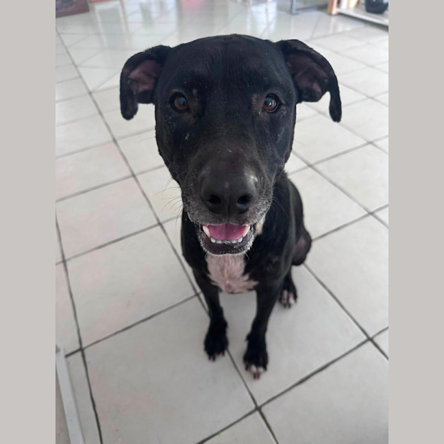 Photo of Roxy