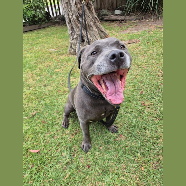 Photo of Axel (67653)