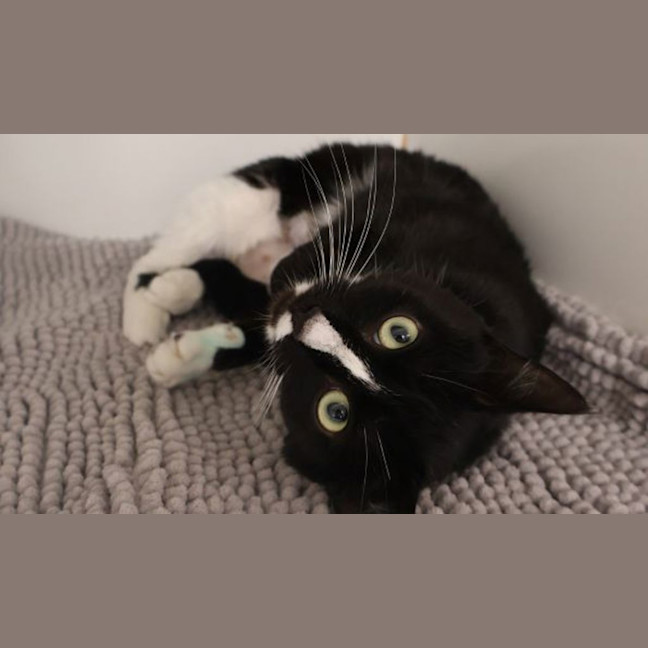 Photo of Marceline