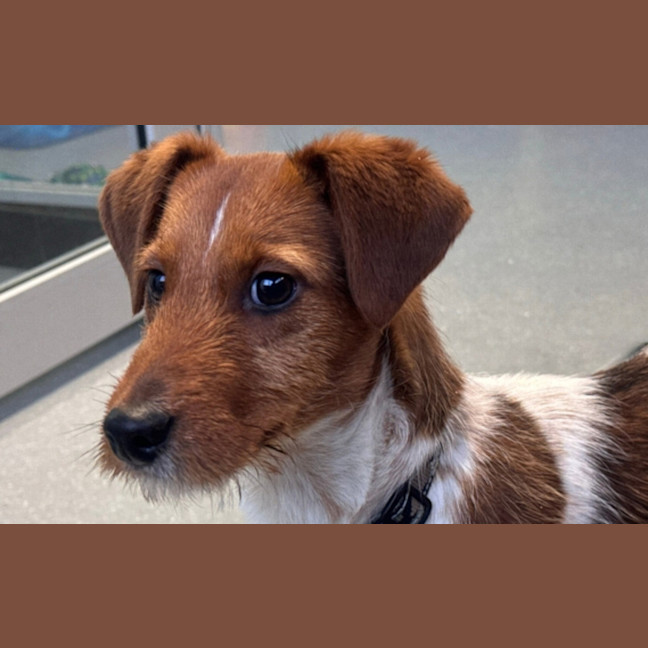 Photo of Clarence Von Wigglebottom