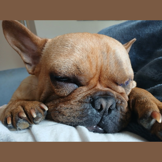 Photo of Chuckycheese