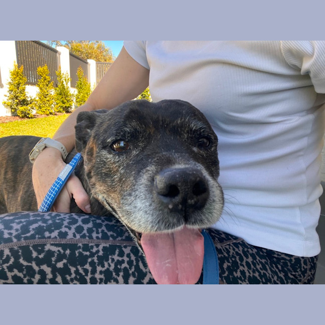Photo of Baz 