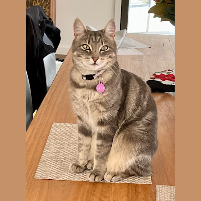 Photo of Lexi & Cara