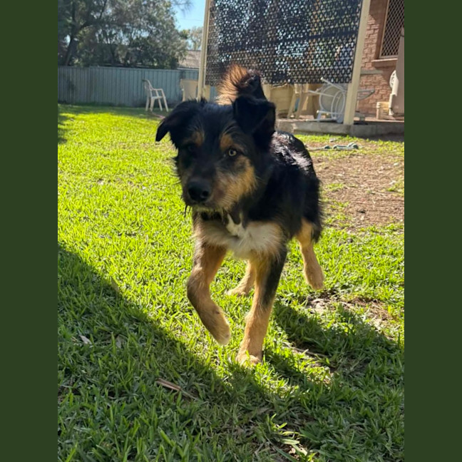 Photo of Kingston