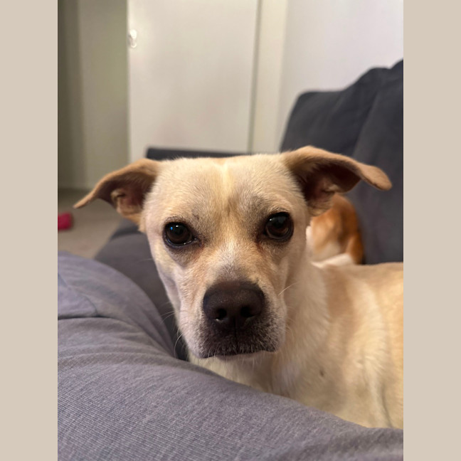 Photo of Taco
