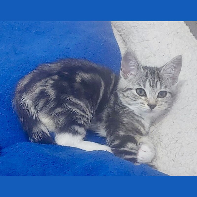 Photo of Mildred