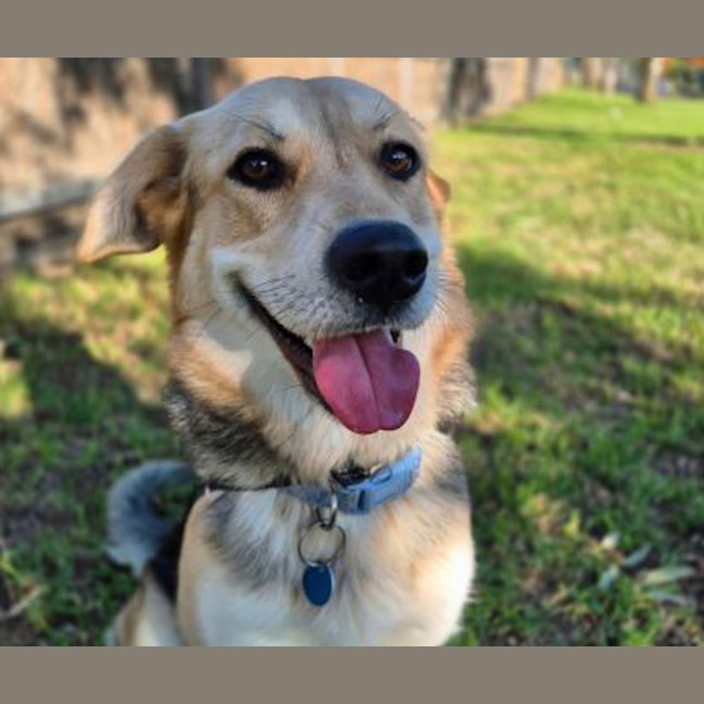 Photo of Hera