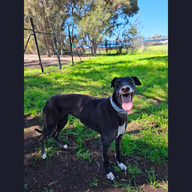 Photo of Tayla