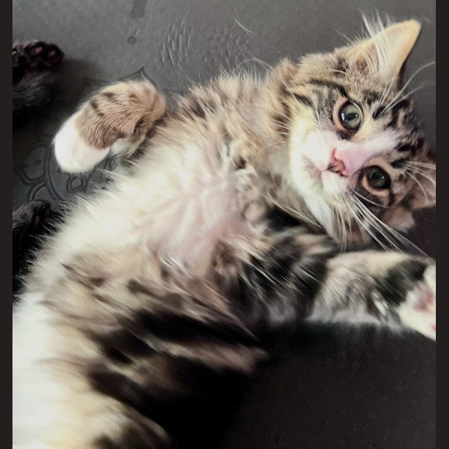 Photo of Jasper