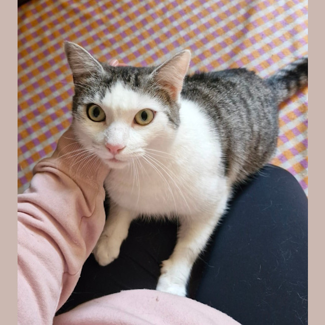 Photo of Tabitha
