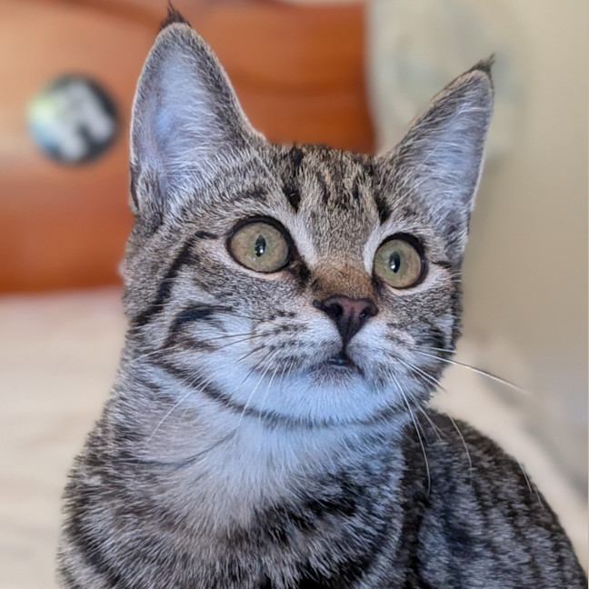 Photo of Lola