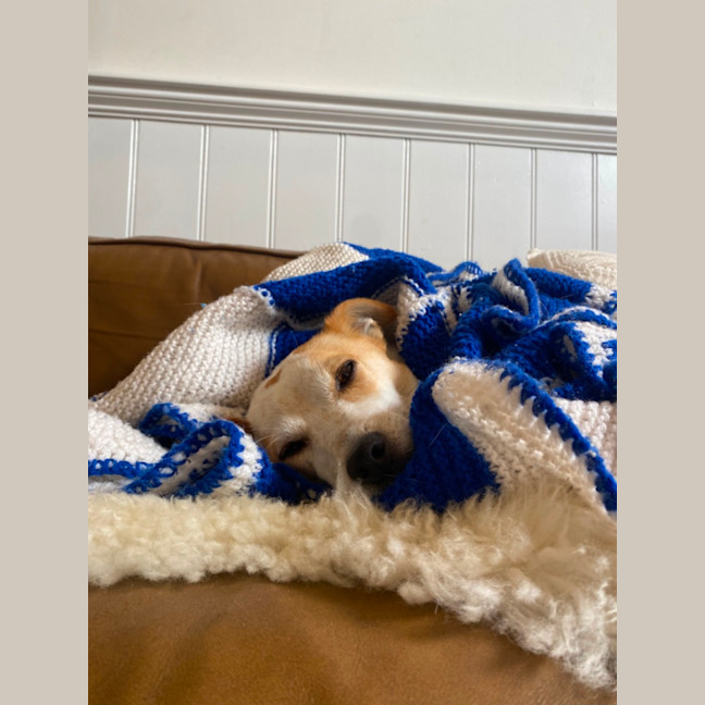 Photo of Panko